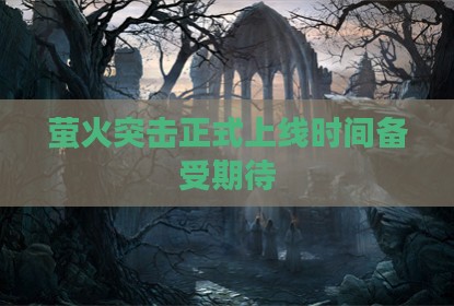 萤火突击正式上线时间备受期待