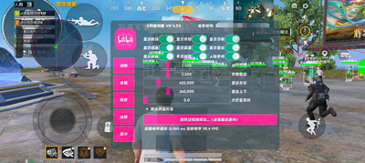 和平精英外挂-BL-雷达方框距离显示一体直装版