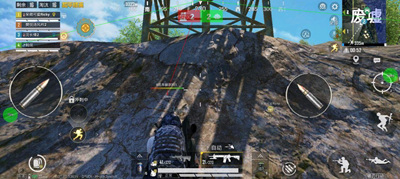 和平精英辅助-花蕊-内透绘制免费PJ直装版