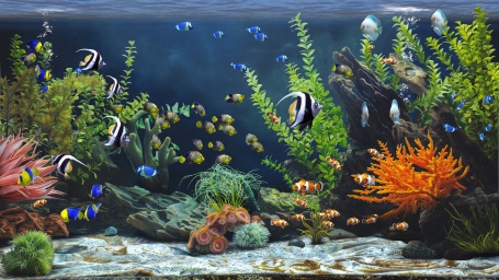 禅意水族馆下载-ZenAquarium免费版PC单机游戏Build.20073752