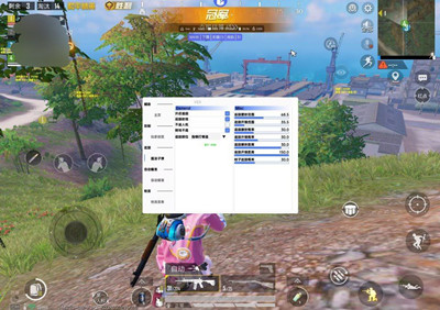 和平精英辅助(啸风工具)安卓版下载v1.0.1